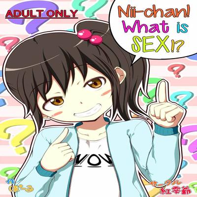 Nii-chan! What Is SEX!?