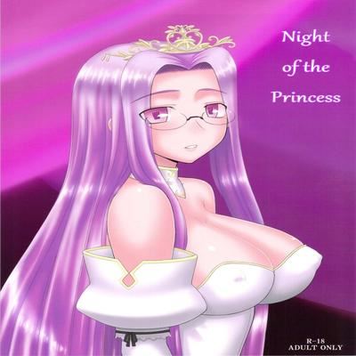 Fate/Stay Night dj - Night of the Princess