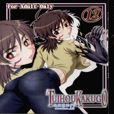 TUIHOU KAKUGO Version.12 (Witch Blade)