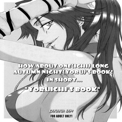 How About One Long Autumn Night's Book! In Short... "Yoruichi's Book"