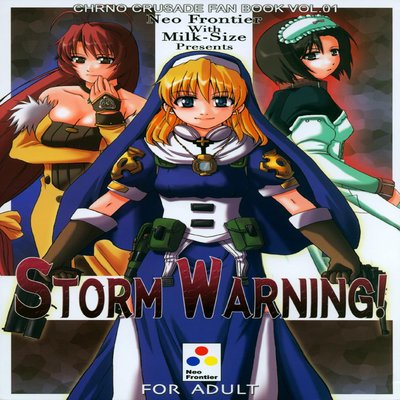 dj - Storm Warning