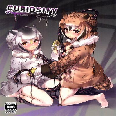 dj - CURIOSITY