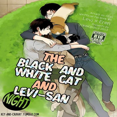 The Black And White Cat And Levi-san [Yaoi]