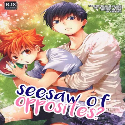 Seesaw of Opposites? [Yaoi]