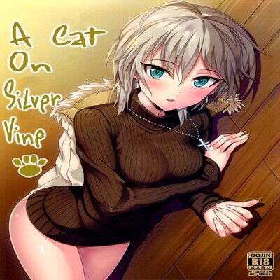 dj - A Cat On Silver Vine