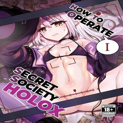 dj - How To Operate Secret Society H○LOX