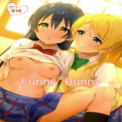 dj - Funny Bunny (Nanatsu No Umi)
