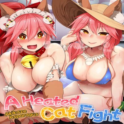 dj - A Heated Cat Fight