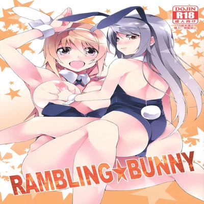 dj - Rambling Bunny